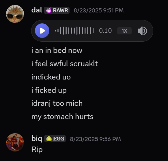 Screenshot of a text conversation on Discord between Dallas and Michaela. Dallas is typing sporatically with lots of typos. He says: 'I'm in bed now. I feel awful actually. I fucked up, I fucked up. I drank too mych, my stomach hurts.' Michaela responds with: 'RIP.'